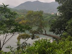 -深圳仙湖植物园