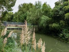 -昆山城市生态森林公园