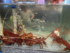 -築鳥日本料理(黑沙环店)