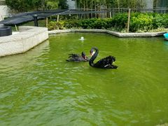 -行者书屋大堂吧 ·下午茶(南京圣和府邸酒店)