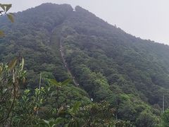 -梧桐山风景名胜区