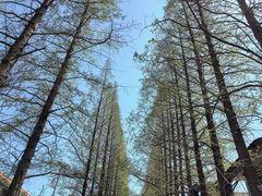 -银雀山汉墓竹简博物馆