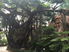 iphone_upload_pic-龙达温泉生态城