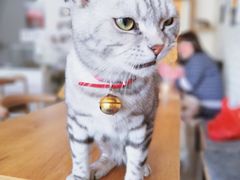 -平行世界·猫咖(首经贸店)
