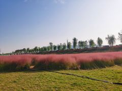 -灞河西岸滨河公园