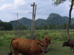 -Club Med地中海俱乐部·桂林度假村