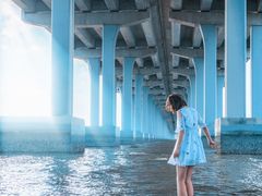 -宝安西湾红树林湿地公园