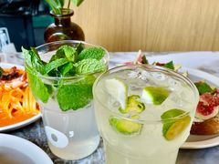 -O'eat Blossom&Pelican(深圳首店)