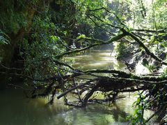 -怀托摩萤火虫洞