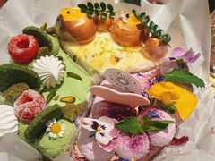 -觅唐MITONG(鸟巢店)