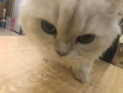 -杨丹国际美学肌研所