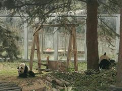 -西安秦岭野生动物园