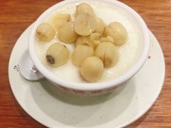 莲子双皮奶-正德顺順德雙皮奶(中信店)