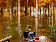-白鹭湾湿地公园