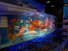 -千家粗粮王(MOMOPARK店)