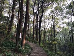 -南山植物园