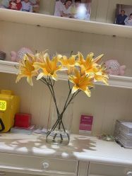 -北京俪婴妇产医院(朝阳大悦城店)