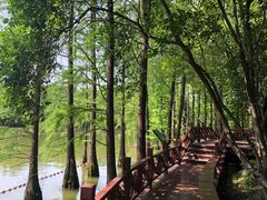 -尚湖风景区