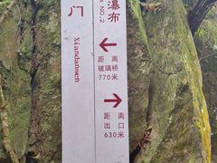 -南丹山森林王国