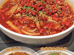 -三强鸽子(中原路店)