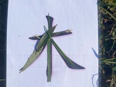 -世纪飞马幼儿园(西城校区)