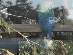 -上方山森林动物世界
