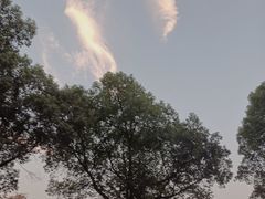 -昆山城市生态森林公园