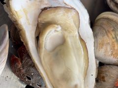 -日照大牌檔•小船海鲜(万平口店)