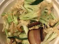 -时光码头民谣公社