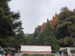 -井冈山革命烈士陵园