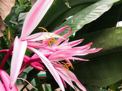 -石家庄市植物园
