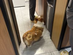 -北京派仕佳德动物医院·超导核磁·CT·神经科·骨科·内外科·急重症管理中心