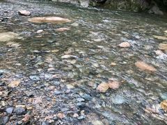 -鄣山大峡谷