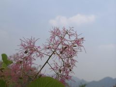 -周口店坡峰岭风景区