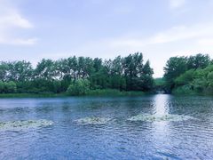 -溱湖国家湿地公园