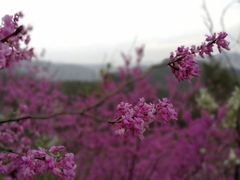 -天台山赤城山景区