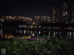 -光明港公园