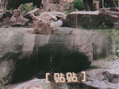 -上海野生动物园
