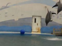 -北戴河圣蓝海洋公园