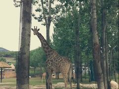 -大连森林动物园