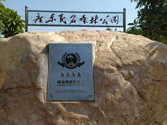 -广东茂名森林公园