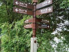 -铁山坪森林公园