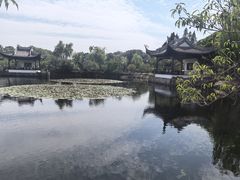 -无锡蠡湖国家湿地公园-蠡园