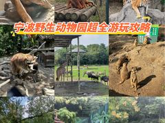 -宁波野生动物园