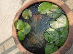 -船老大饭店(太滆街店)