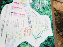 -野象谷景区