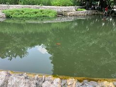 -成都市活水公园