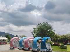 -芒洲湿地公园
