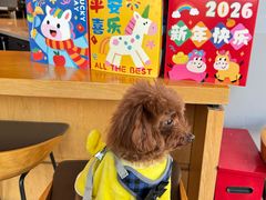 -星巴克臻选(宁波世纪东方广场店)