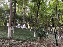 -龙头寺公园